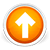 Scroll to Top